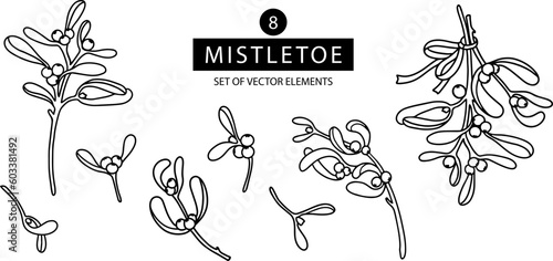 Set of black and white simple illustration of mistletoe branch. Christmas traditional floral elements