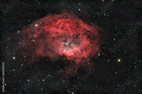 Nebulosa Lower Sh2-261, nota talvolta anche come Nebulosa di Lower, è una nebulosa a emissione visibile nella costellazione di Orione. photo