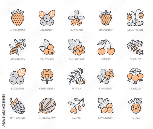 Forest berries flat line icons - blueberry, cranberry, strawberry, cherry, rowan berry, blackberry. Watermelon, grapes, olives illustrations for food store. Orange color. Editable Stroke