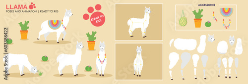 White Llama Alpaca cartoon character ready to rig for animation. Collection, set multiple poses, cute animal vector with accessories. Farm animals rig ready 