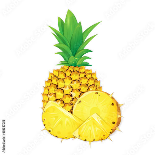 Whole pineapple and pineapple pieces on white background