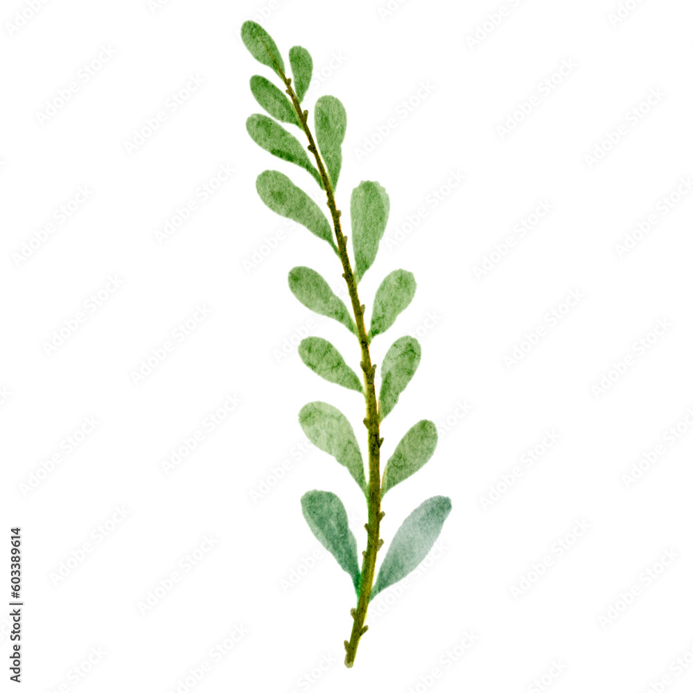 Fototapeta premium Watercolor Foliage Plants Clipart