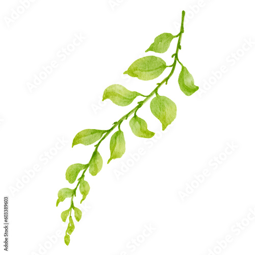 Watercolor Foliage Plants Clipart