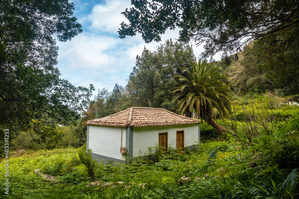 A local dwelling on the mountain in the evergreen cloud forest of Garajonay National Park, La Gomera, Canary Islands, Spain