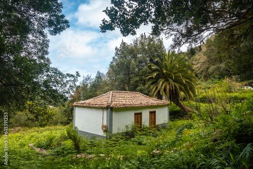 A local dwelling on the mountain in the evergreen cloud forest of Garajonay National Park, La Gomera, Canary Islands, Spain © unai