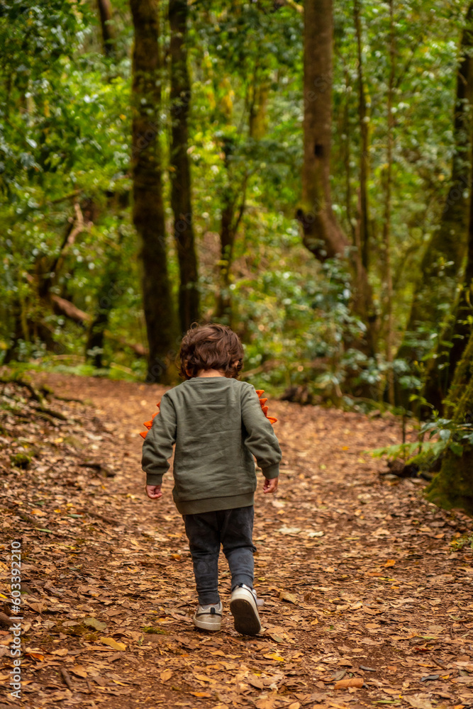A boy having fun on the trail in the evergreen cloud forest of Garajonay National Park, La Gomera, Canary Islands, Spain A boy having fun on the trail in the evergreen cloud forest of Garajonay National Park, La Gomera, Canary Islands, Spain