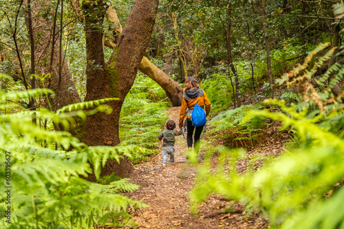 Trekking through Las Creces on the trail in the moss tree forest of Garajonay National Park, La Gomera, Canary Islands
