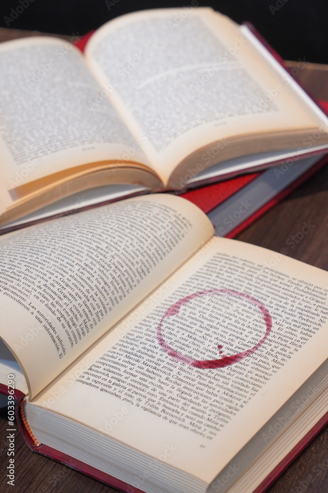 Obraz premium páginas de libro y vino tinto