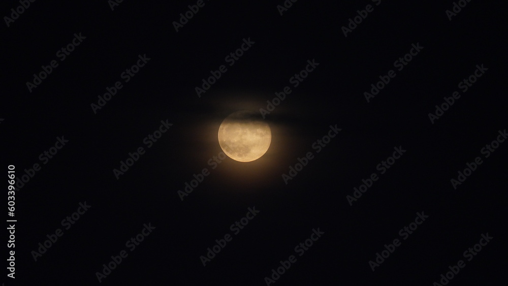 The moon night view with the round and white moon in the sky The moon night view with the round and white moon in the sky
