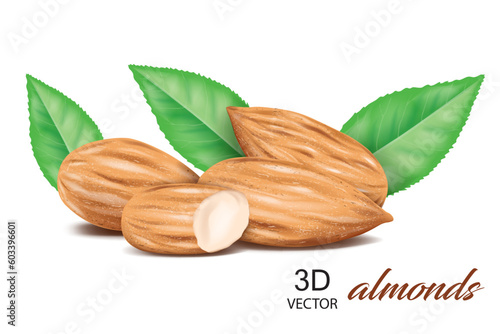 almonds with almond leaves design template on the white background isolated. realistic vector illustration design element.