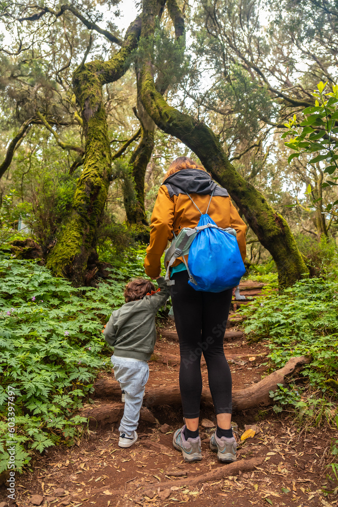 Mother and son on some stairs on the trail in the mossy tree forest of Garajonay National Park, La Gomera, Canary Islands. On the excursion to Las Creces Mother and son on some stairs on the trail in the mossy tree forest of Garajonay National Park, La Gomera, Canary Islands. On the excursion to Las Creces