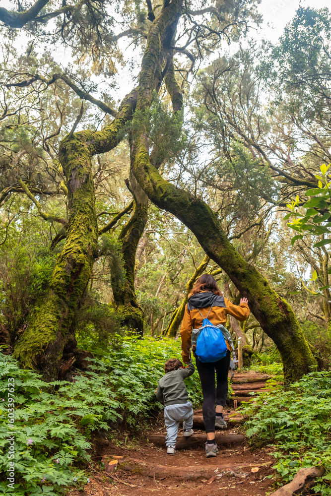 Mother and son on some stairs on the trail in the mossy tree forest of Garajonay National Park, La Gomera, Canary Islands. On the excursion to Las Creces