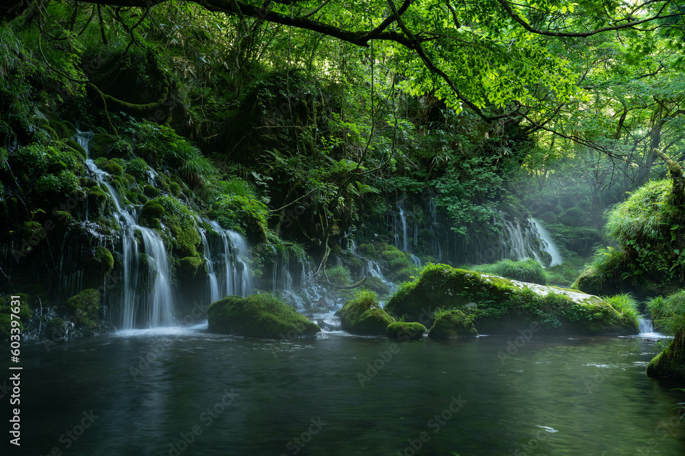 Obraz premium 元滝伏流水（秋田県）