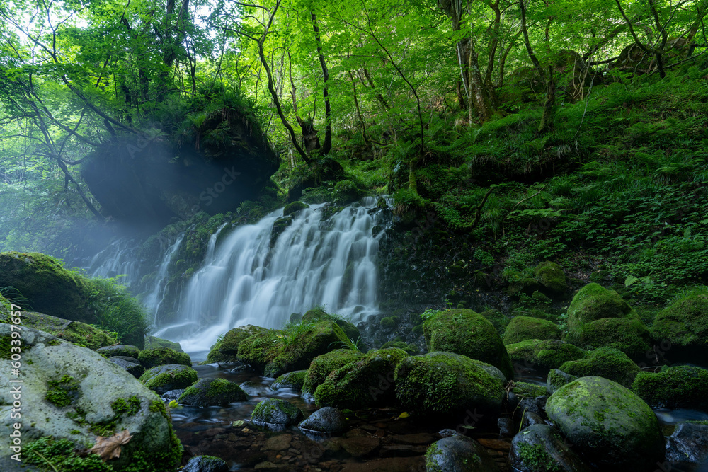 Fototapeta premium 元滝伏流水（秋田県）