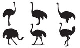 Ostrich silhouette design