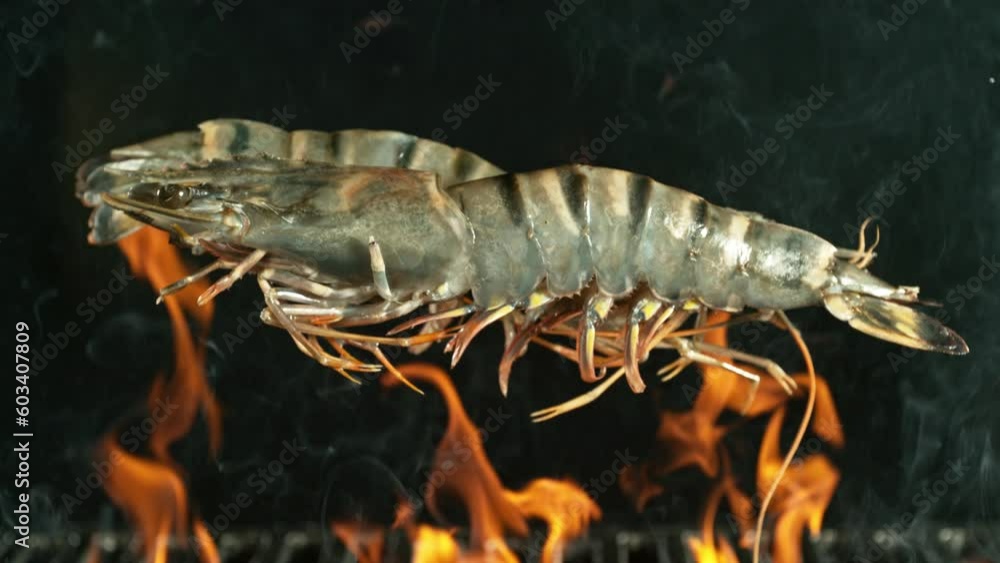 Super Slow Motion of Falling Prawns on Grill. Filmed on High Speed Cinema Camera, 1000 fps, Camera Placed on High Speed Cine Bot, Following the Target. Super Slow Motion of Falling Prawns on Grill. Filmed on High Speed Cinema Camera, 1000 fps, Camera Placed on High Speed Cine Bot, Following the Target.
