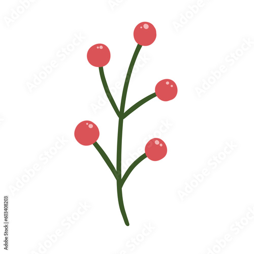 Decorative Berries Plant