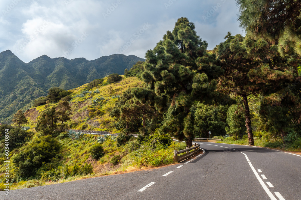 Road at the viewpoint in the village of Hermigua in the north of La Gomera, Canary Islands