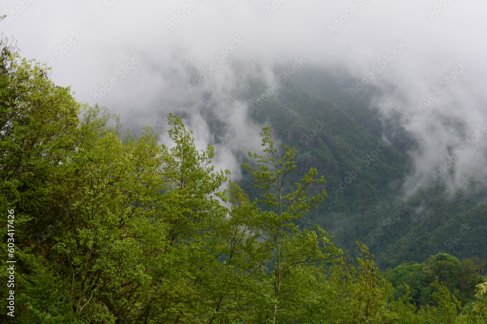 PAESAGGIO MONTANO CON NEBBIA,GIFFONI VALLE PIANA,SUD ITALIA,15 MAGGIO 2023. PAESAGGIO MONTANO CON NEBBIA,GIFFONI VALLE PIANA,SUD ITALIA,15 MAGGIO 2023.