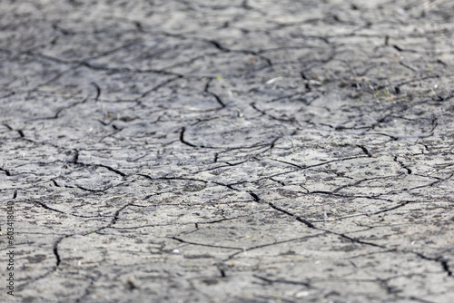 Dry, cracked earth. dry cracked soil texture and background on dry season