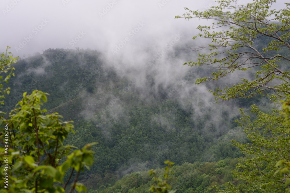 PAESAGGIO MONTANO CON NEBBIA,GIFFONI VALLE PIANA,SUD ITALIA,15 MAGGIO 2023. PAESAGGIO MONTANO CON NEBBIA,GIFFONI VALLE PIANA,SUD ITALIA,15 MAGGIO 2023.