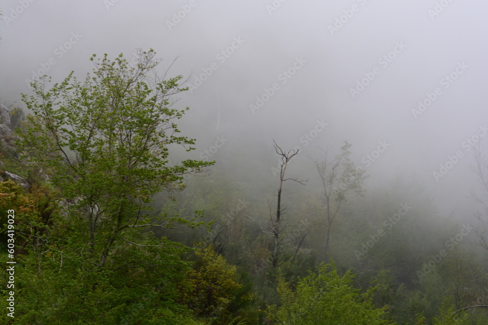 PAESAGGIO MONTANO CON NEBBIA,GIFFONI VALLE PIANA,SUD ITALIA,15 MAGGIO 2023. PAESAGGIO MONTANO CON NEBBIA,GIFFONI VALLE PIANA,SUD ITALIA,15 MAGGIO 2023.