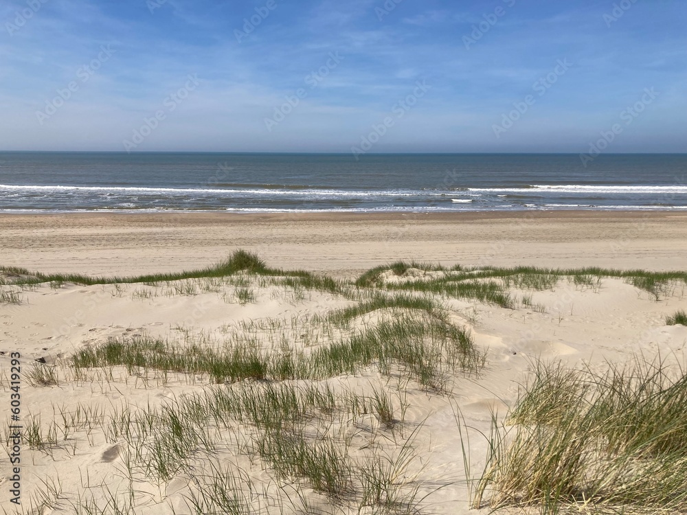 Blick über die Dünen und den Strand an der Nordsee in Holland in Noordwijk 