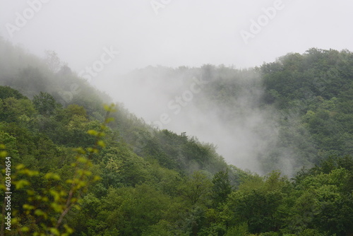 PAESAGGIO MONTANO CON NEBBIA,GIFFONI VALLE PIANA,SUD ITALIA,15 MAGGIO 2023.