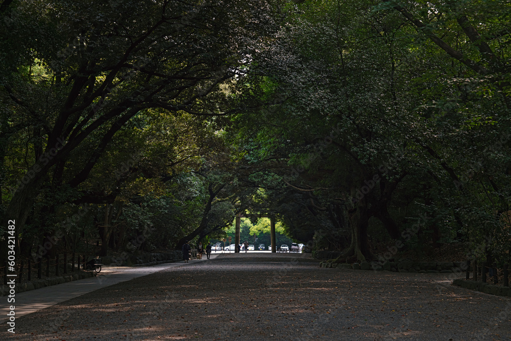 名古屋 熱田神宮 熱田の杜と参道の風景