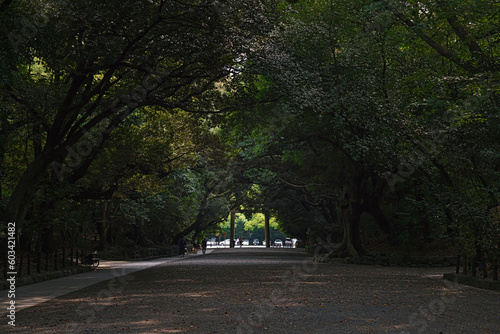 名古屋 熱田神宮 熱田の杜と参道の風景