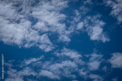 Fototapeta Naklejka Na Ścianę i Meble -  fluffy cirrus clouds in the blue sky. 