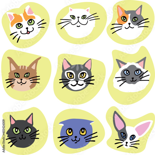 set of funny cats, cute cats