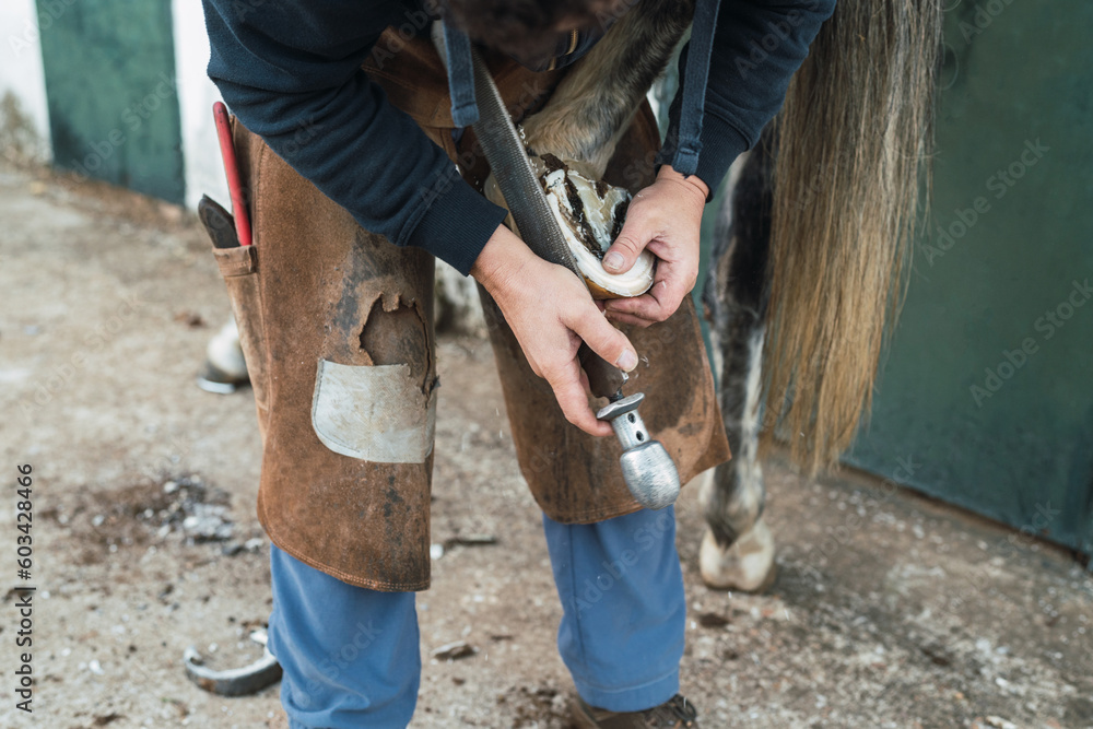 Unrecognizable farrier trimming hoof of horse Unrecognizable farrier trimming hoof of horse