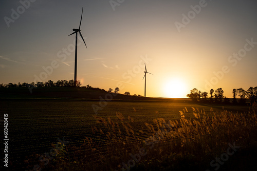 Windräder im Sonnenuntergang