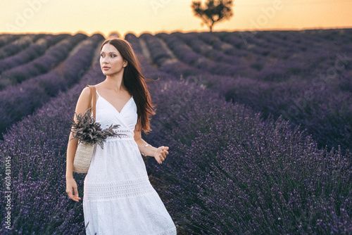 Lavender evening in Provence