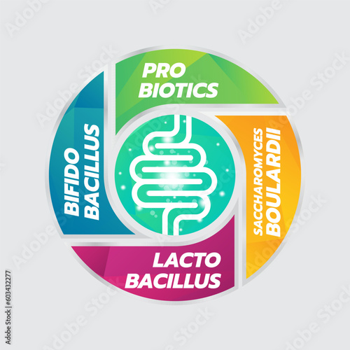 Probiotic Foods Good Bacteria Vector illustration. 