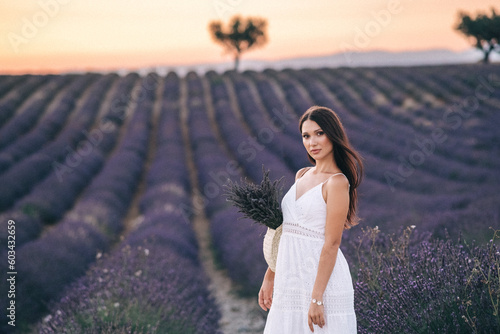 Lavender evening in Provence