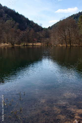 Photos Light shining in a V shape in the water in Helmbachweiher Lake in the Palatinate Forest of Germany on a sunny winter day with mountains and trees in the background