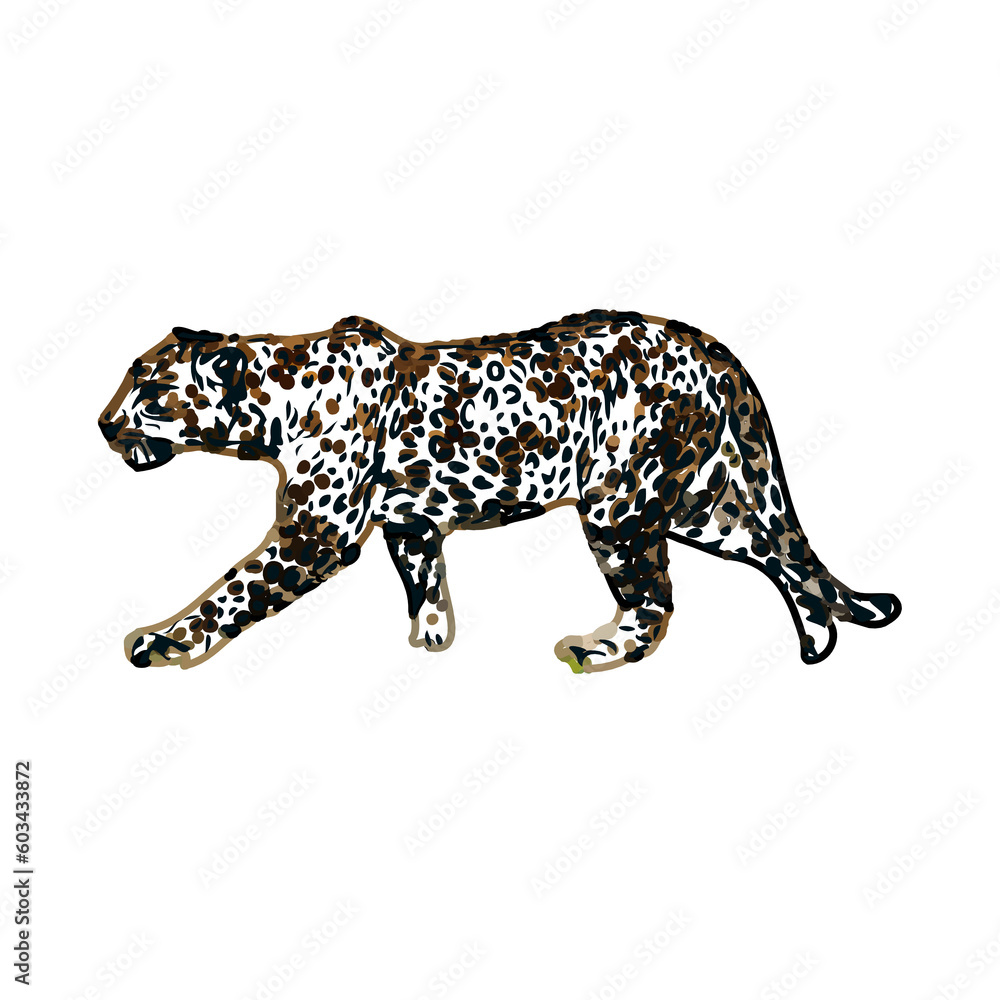 color sketch of leopard with transparent background color sketch of leopard with transparent background