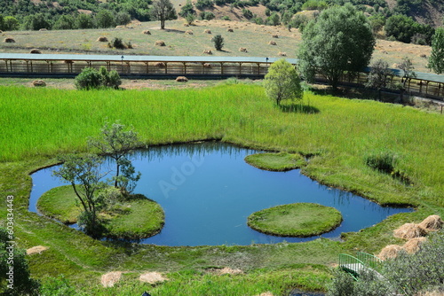 Located in Bingol, Turkey, the Floating Islands are small pieces of islands located on a small pond.