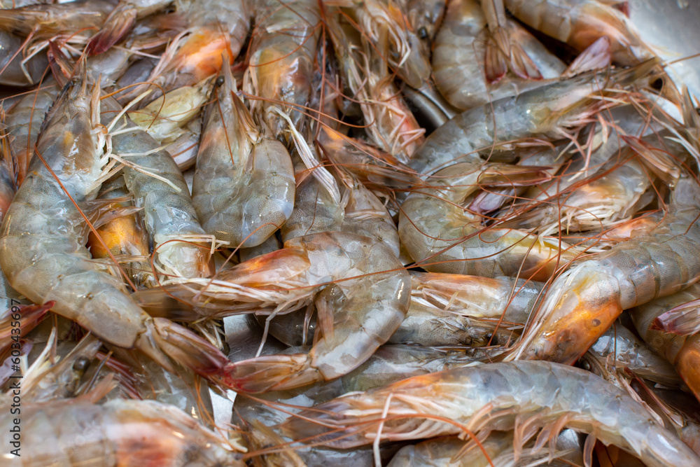 Fresh shrimp for sale in the store