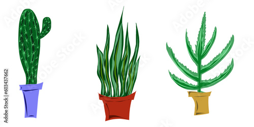 Set home flowers in pots. Flat style illustration. Elements for design