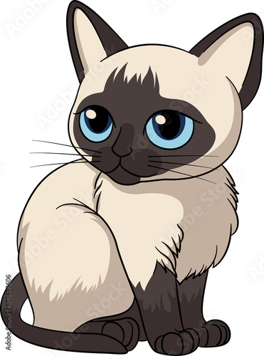 Siamese cat cute