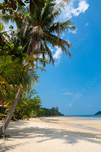 Beautiful tropical beach with white sand, palm trees, turquoise ocean against blue sky on sunny summer day..Wide view of tranquil tropical island beach, Thailand..Tropical beach with coconut palm