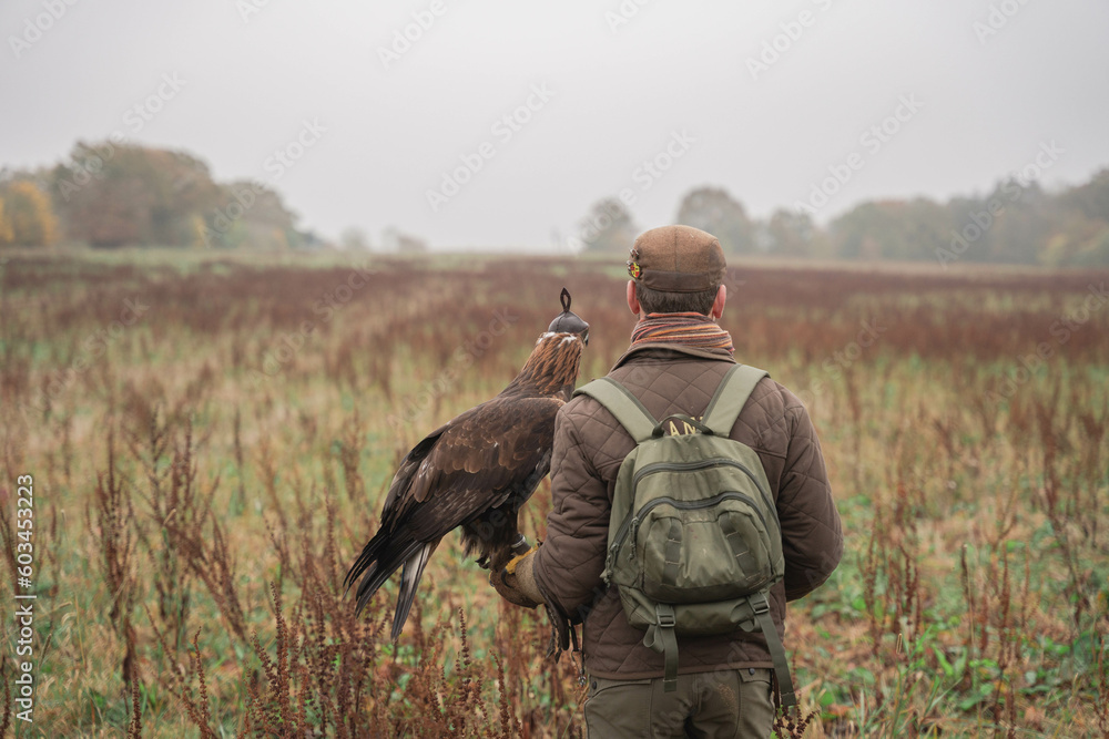 Back hunter with eagle during a hunt in France  - obrazy, fototapety, plakaty 