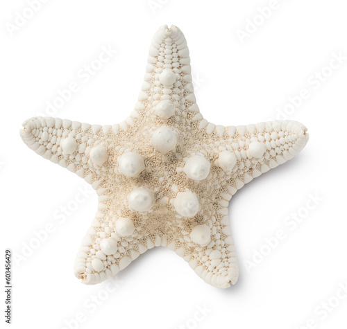 small white starfish / sea star isolated over a transparent background, cut-out summer, beach, ocean and vacation design element, top view / flat lay with subtle natural shadow