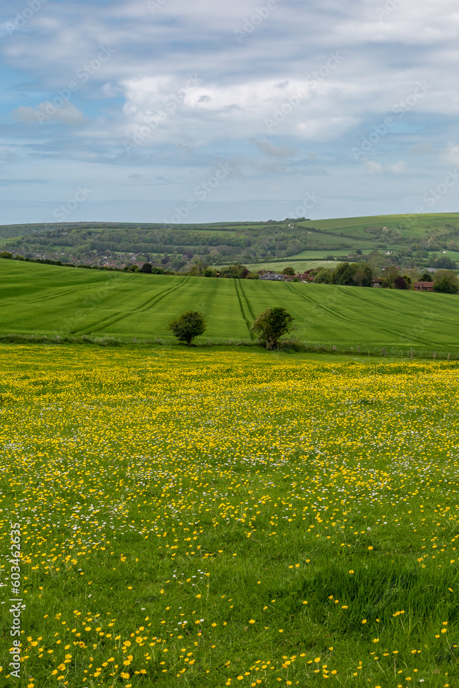 A rural Sussex view on a spring day