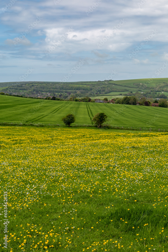 A rural Sussex view on a spring day A rural Sussex view on a spring day