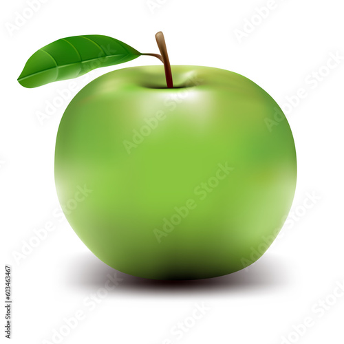 Realistic apple - vector illustration