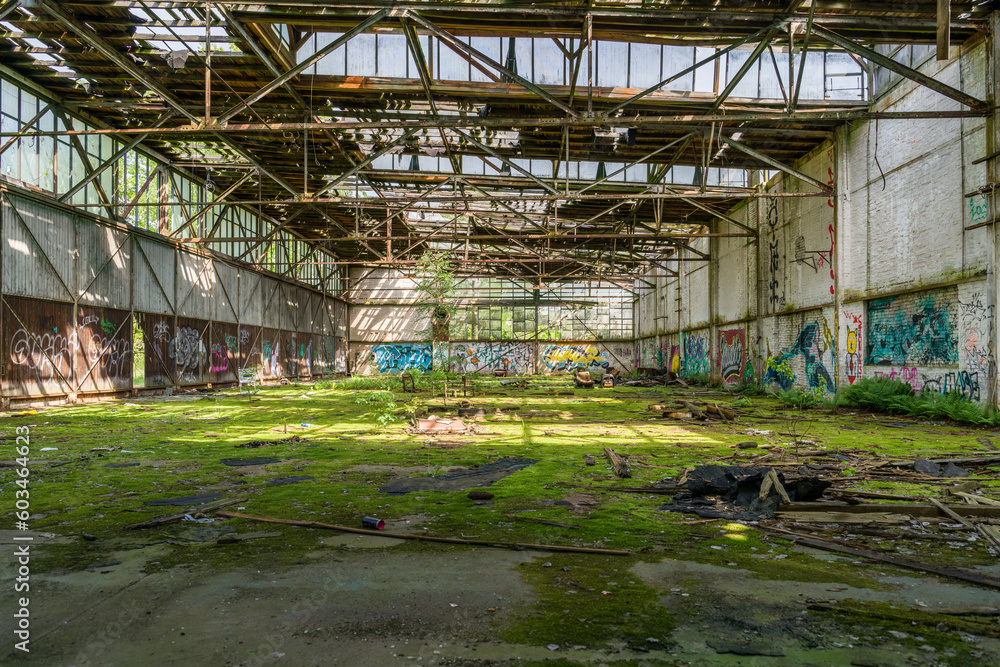 abandoned factory in the spring